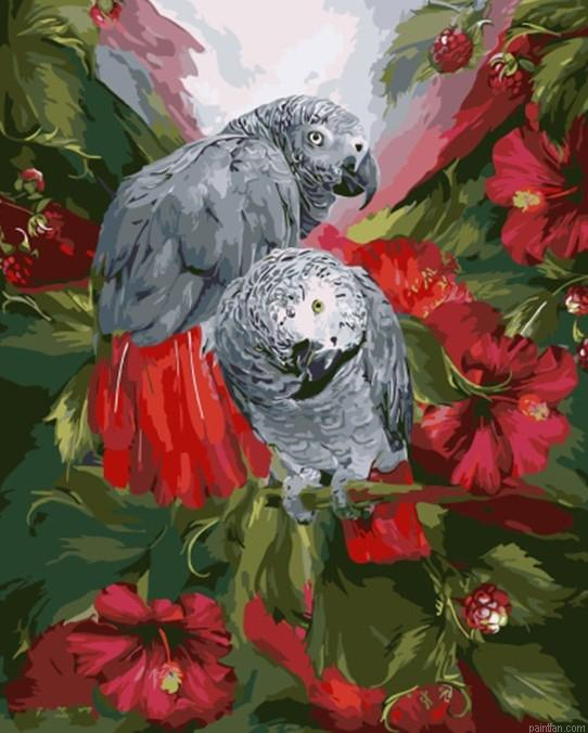 Gray Parrot Paint By Numbers.png