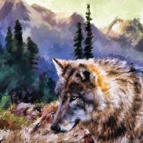 Gray Tundra Wolf Paint By Numbers.png