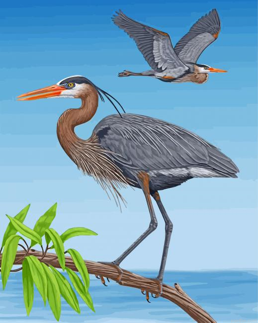 Great Blue Heron Birds Paint By Number.png