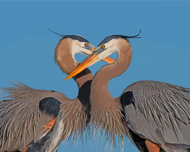 Great Blue Heron Couple Paint By Number.png