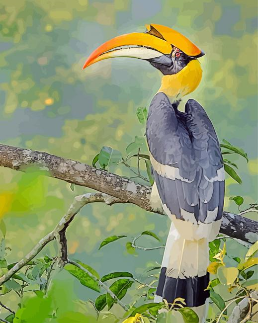 Great Hornbill Bird Paint By Number.png