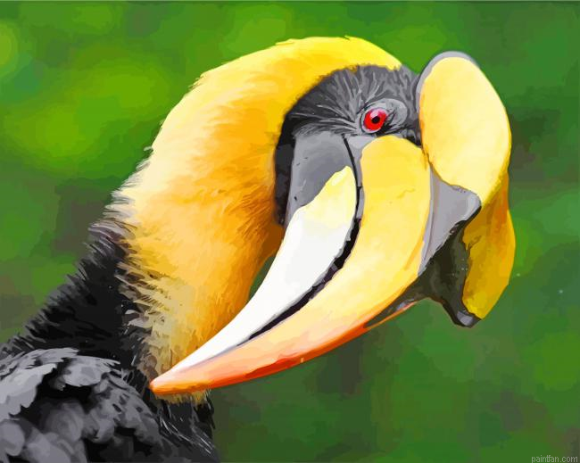 Great Hornbill Paint By Number.png