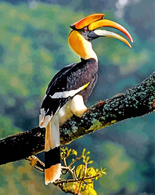 Great Indian Hornbill Paint By Number.png