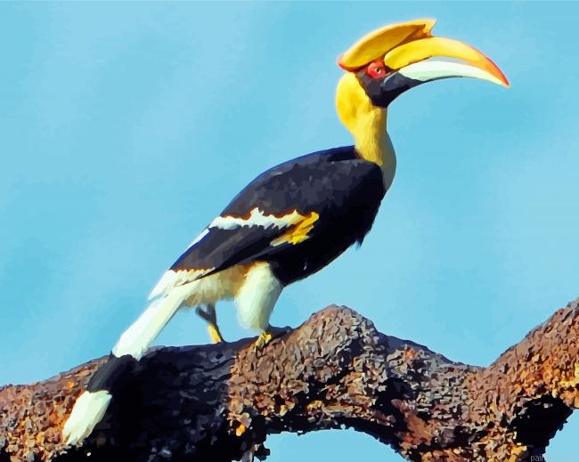 Great Pied Hornbill Paint By Number.png