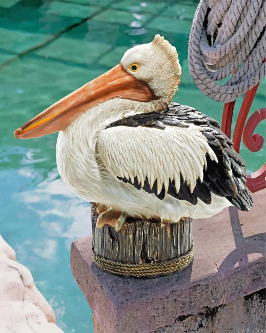 Great White Pelican Paint By Number.png