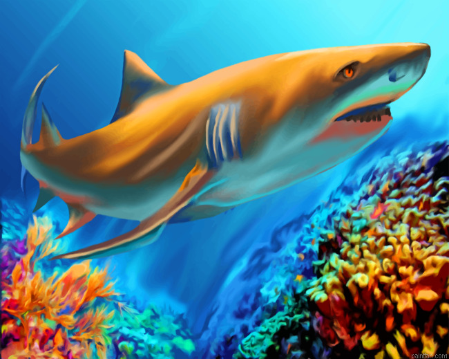 Great White Shark Art Paint By Numbers.png