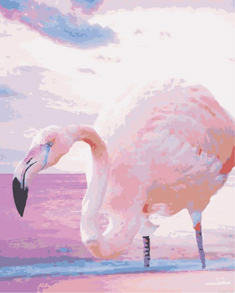 Greater Flamingo Paint By Numbers.png