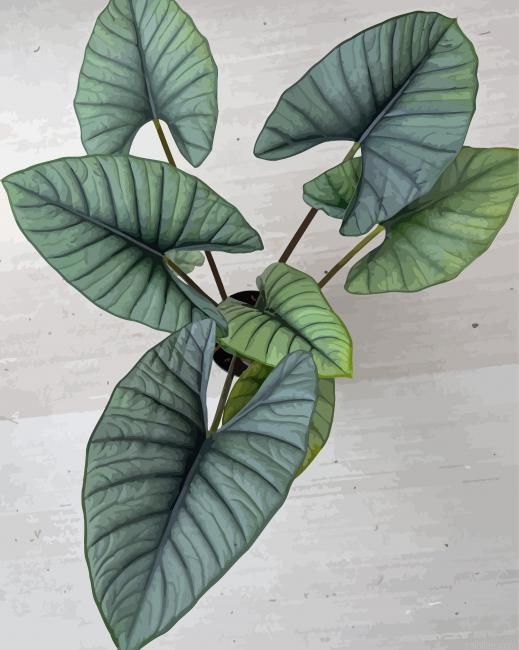 Green Alocasia Paint By Numbers.png