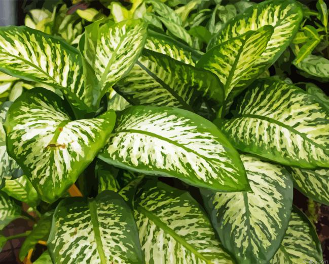 Green And White Leaves Paint By Numbers.png