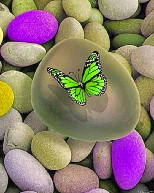 Green Butterfly Insects Paint By Numbers.png