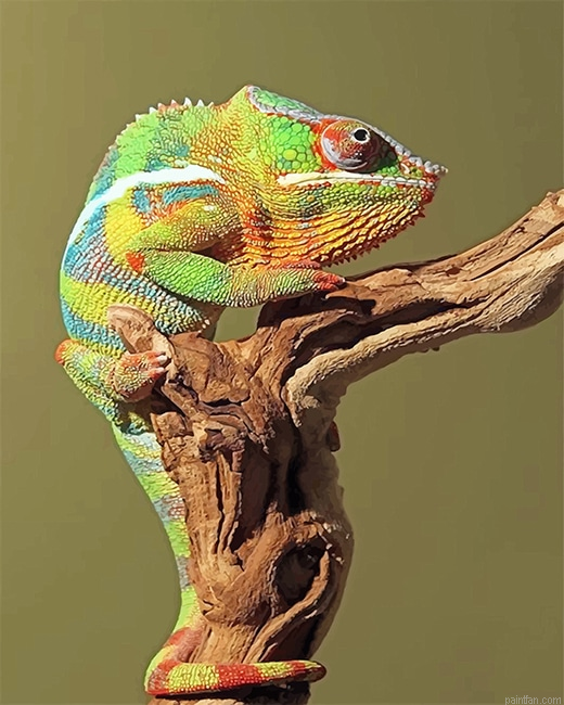 Green Chameleon New Paint By Numbers.png