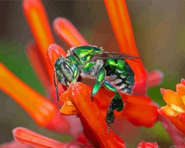 Green Euglossa Bazinga Paint By Numbers.png