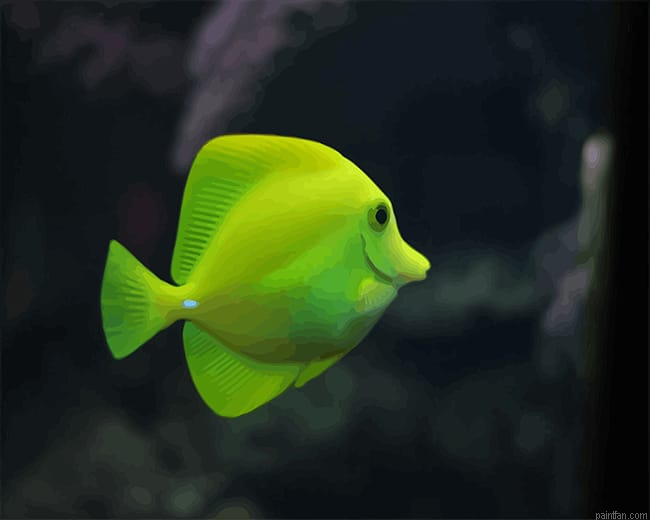 Green Fish Aquarium New Paint By Numbers.png