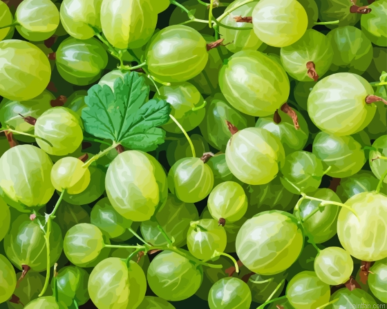 Green Gooseberry Fruit Paint By Numbers.png