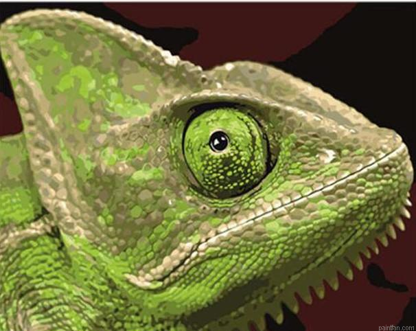 Green Lizard Paint By Numbers.png