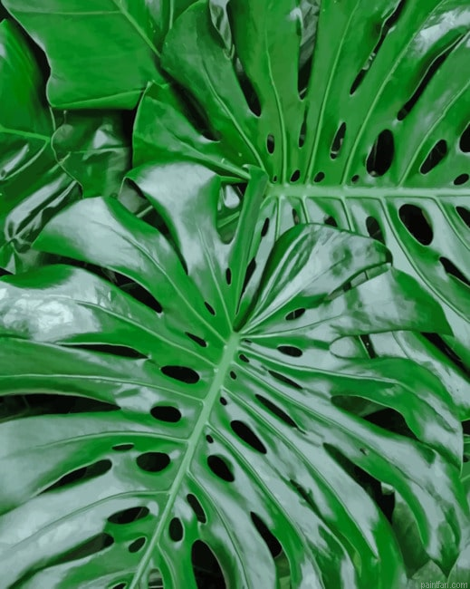 Green Monster Leaves Paint By Number.png
