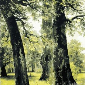Green Trees Paint By Numbers.png