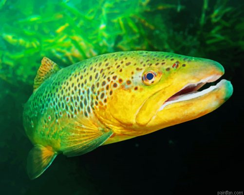 Green Trout Paint By Number.png