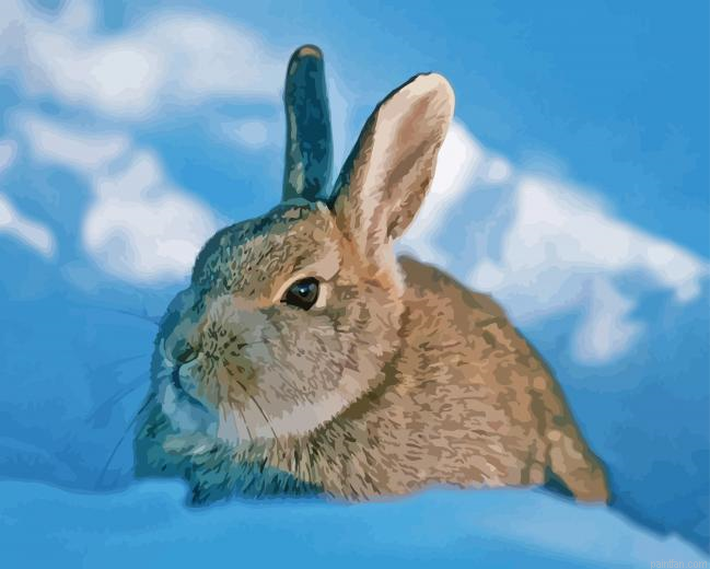 Grey Bunny Paint By Numbers.png