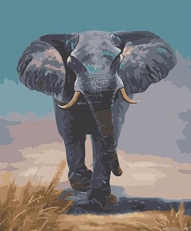 Grey Elephant Paint By Numbers.png
