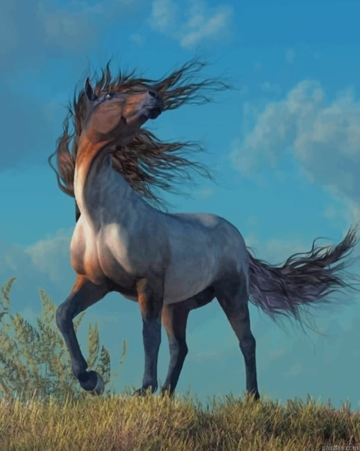Grey Horse New Paint By Numbers.png