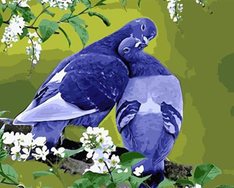 Grey Pigeon Paint By Numbers.png