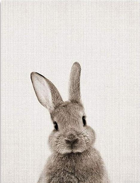 Grey Rabbit Paint By Numbers.png