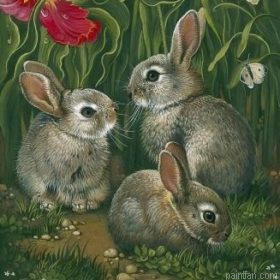 Grey Rabbits Paint By Numbers.png
