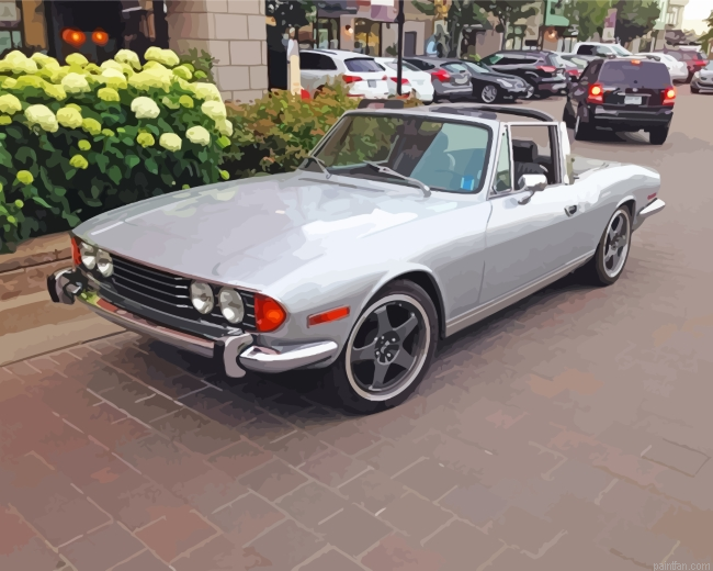 Grey Triumph Stag Paint By Number.png