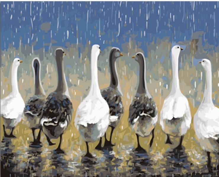 Group Of Ducks Paint By Numbers.png