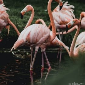 Group Of Flamingos Paint By Numbers.png