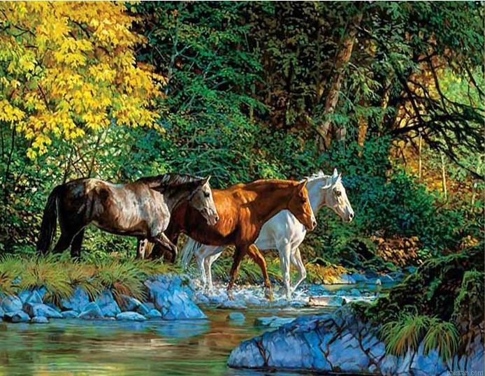 Group Of Horses Paint By Numbers.png