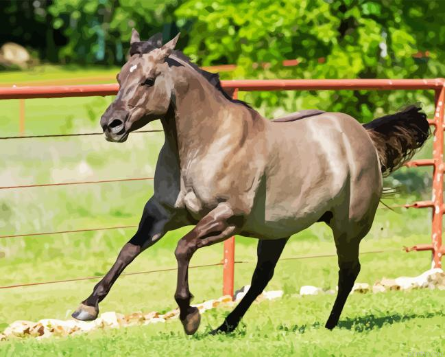 Grullo Horse Paint By Numbers.png