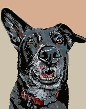 Guard Dog Paint By Numbers.png