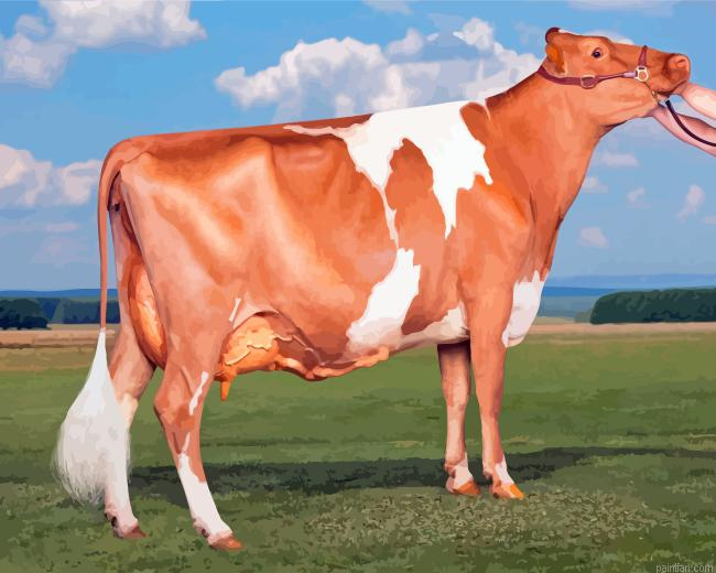 Guernsey Cow Paint By Numbers.png