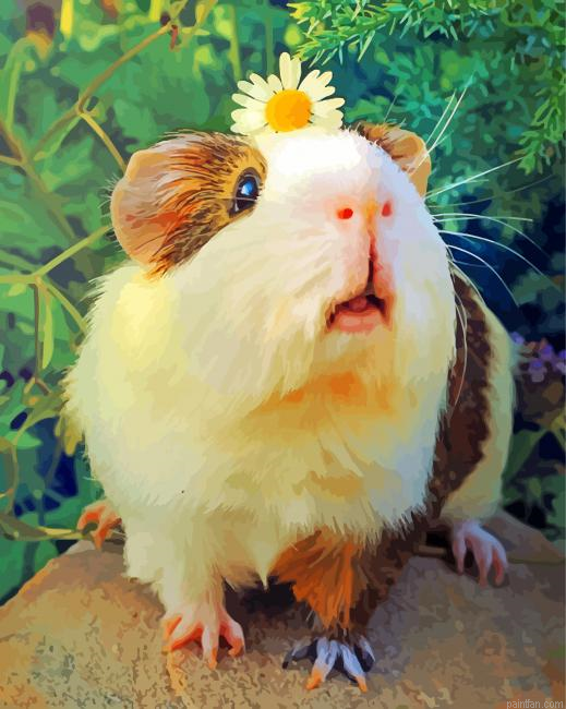 Guinea Pig And Flower Paint By Number.png
