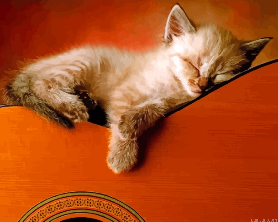 Guitar And Kitten Paint By Numbers.png