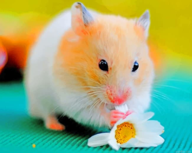 Hamster Eating Flower Paint By Number.png