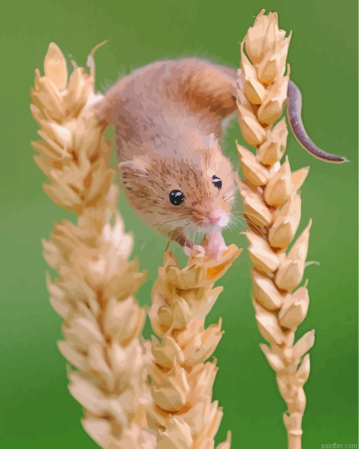 Hamster Trying To Eat Paint By Number.png
