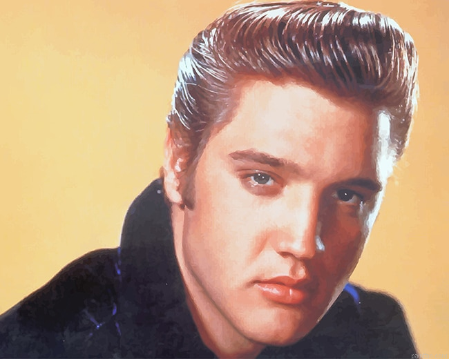 Handsome Elvis Presley New Paint By Numbers.png