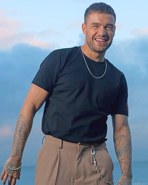 Handsome Liam James Payne Smiling New Paint By Numbers.png