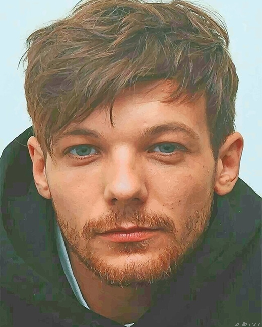 Handsome Louis Tomlinson New Paint By Numbers.png
