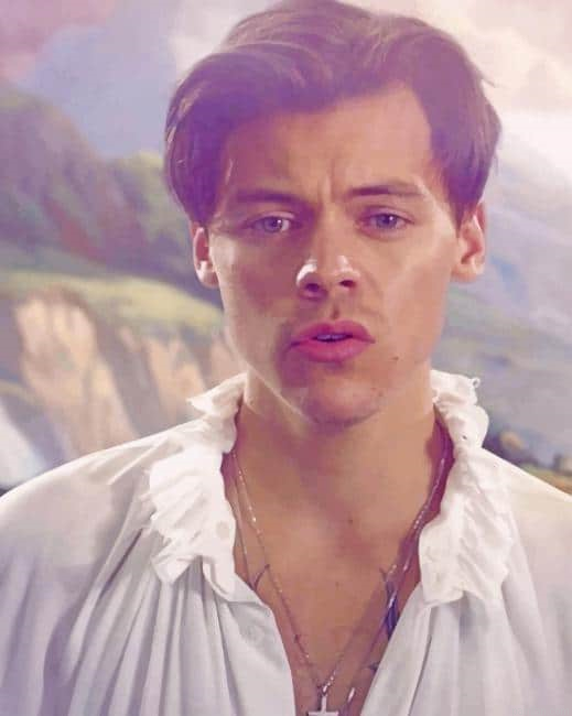Harry Edward Styles Two Ghosts New Paint By Numbers.png