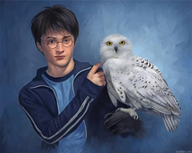Harry Potter And Companion Hedwig Paint By Number.png