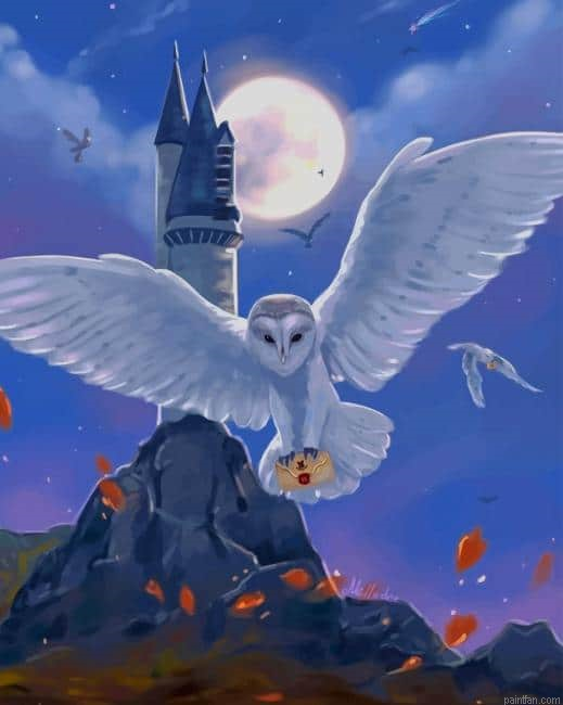 Harry Potter Hedwig New Paint By Numbers.png