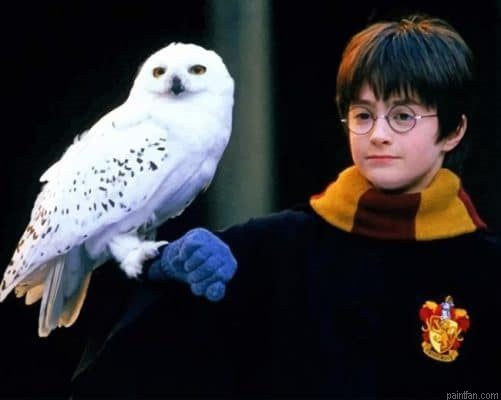 Harry Potter And Owl Paint By Number.png
