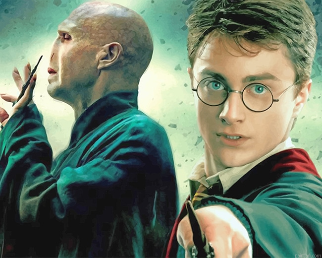 Harry Potter And Voldemort New Paint By Numbers.png