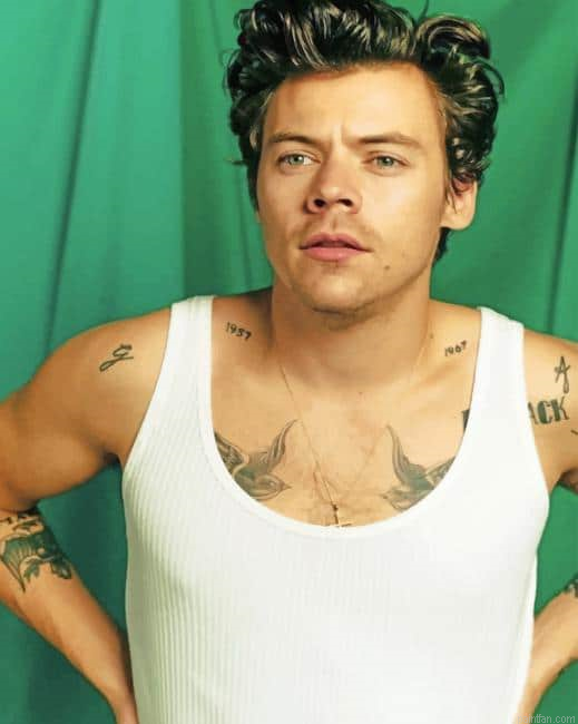 Harry Styles Green Background New Paint By Numbers.png
