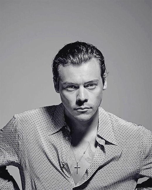 Harry Styles New Hair New Paint By Numbers.png