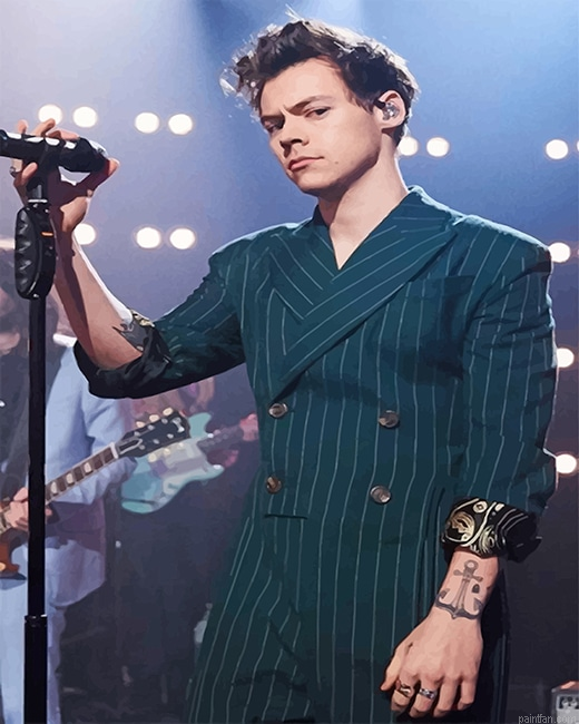 Harry Styles On The Stage New Paint By Numbers.png